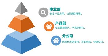 應(yīng)屆生公司簡(jiǎn)介 技術(shù)服務(wù)團(tuán)隊(duì)